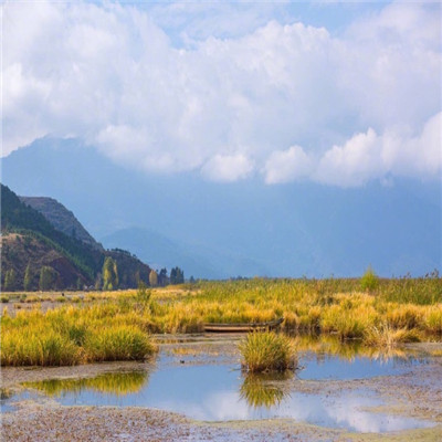 中年人微信头像风景高清