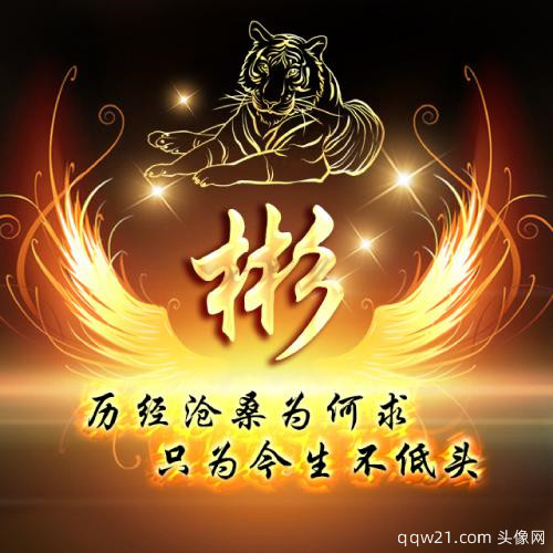 姓氏微信头像2023年最新版图片朱