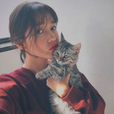 适合微信头像的猫咪图片女