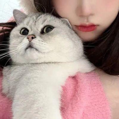 抱猫头像女ins