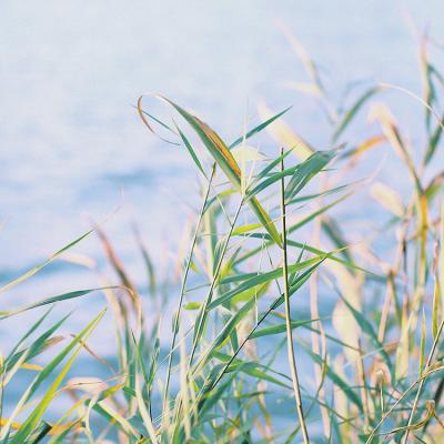 超长拉风网名