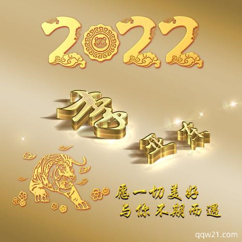 虎年头像2023最新款姓氏