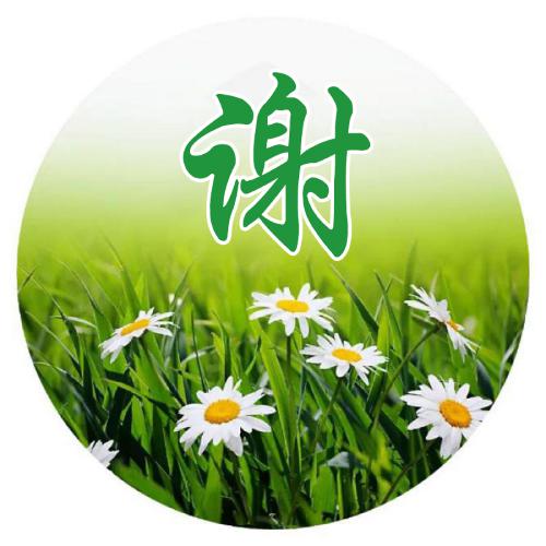 lol大师的网名字