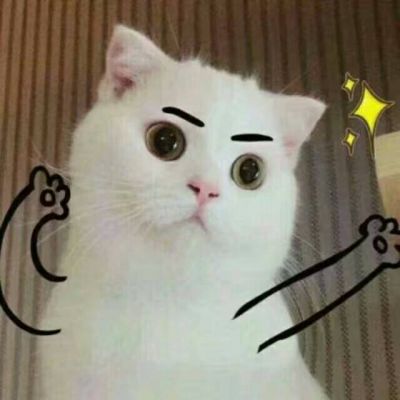 猫咪搞怪头像搞笑