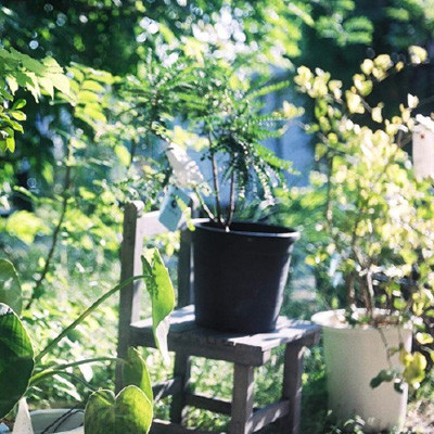 微信头像图片风景山水花草