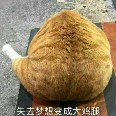 微信朋友圈头像下文字怎么弄