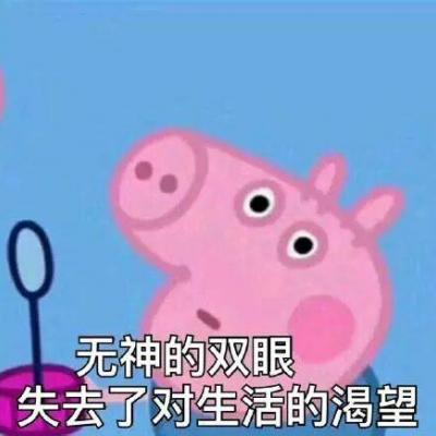 小猪佩奇头像图片