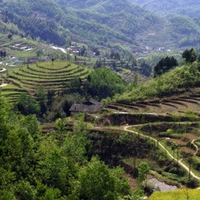 图片头像风景 大自然