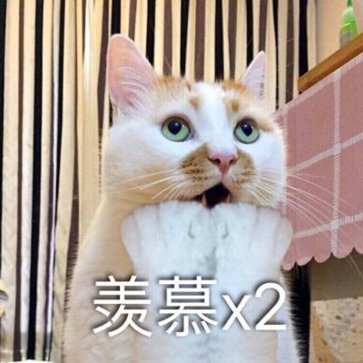 猫咪头像怪搞可爱