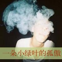 拍拍头像加什么文字好