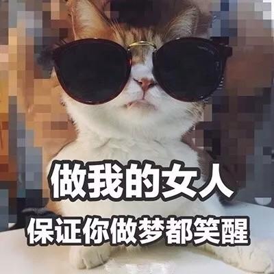 汤姆猫头像带文字