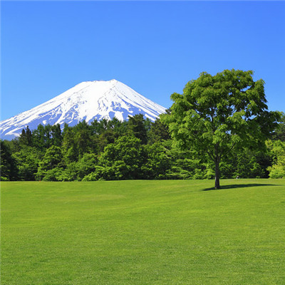 2022年微信头像吉祥健康山水风景